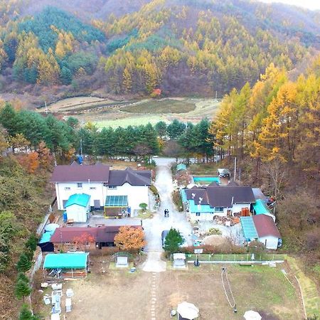 Pinearoma Pension Hongcheon Exteriér fotografie