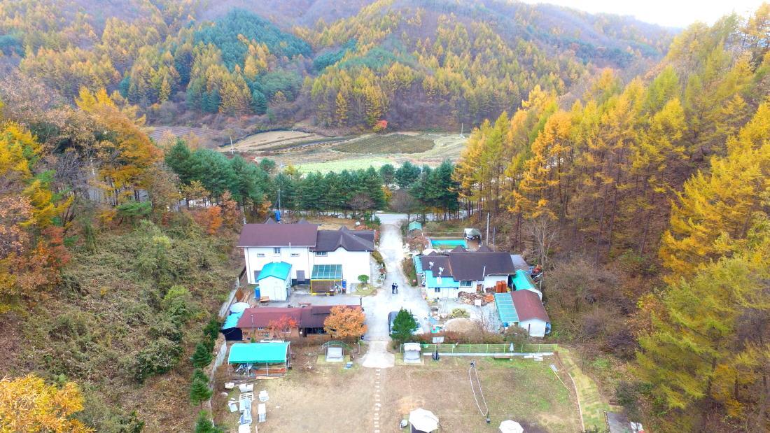 Pinearoma Pension Hongcheon Exteriér fotografie