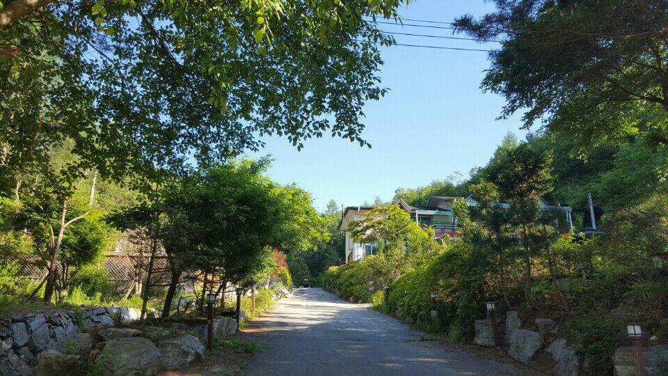 Pinearoma Pension Hongcheon Exteriér fotografie