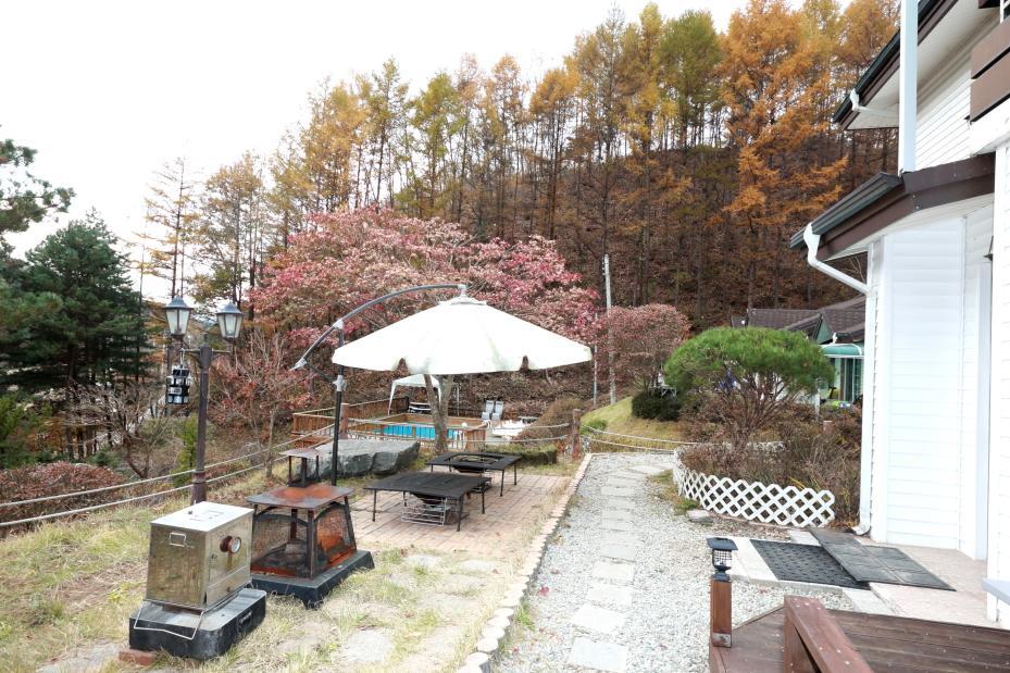 Pinearoma Pension Hongcheon Exteriér fotografie